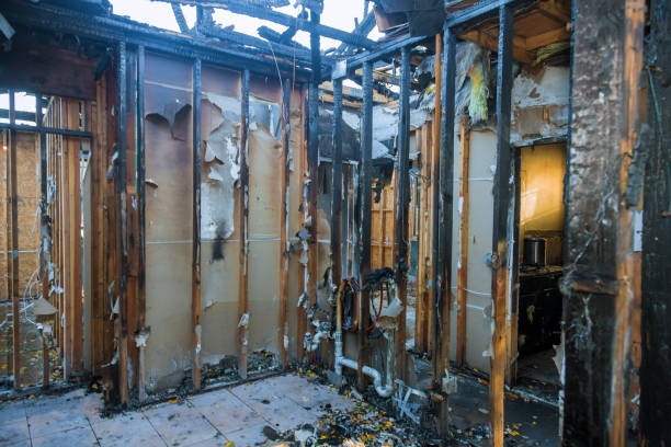 Professional Fire Damage Removal technician working in Homeland Park, SC